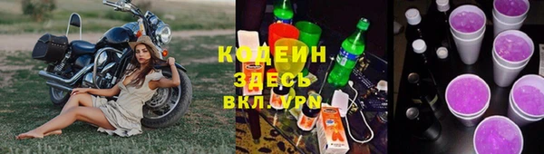 гидра Аркадак
