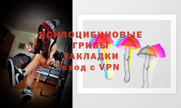 гидра Аркадак