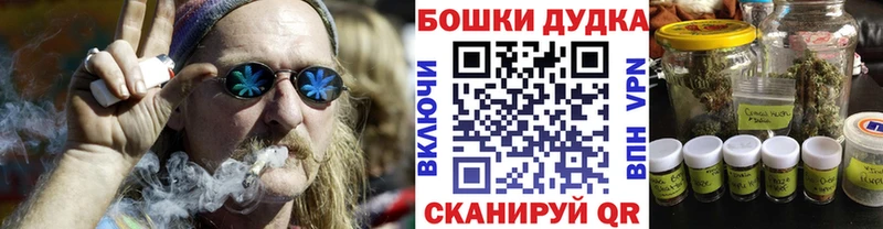 Шишки марихуана конопля  Можга 